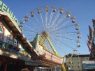 Bild_013.jpg