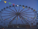 Bild_005.JPG